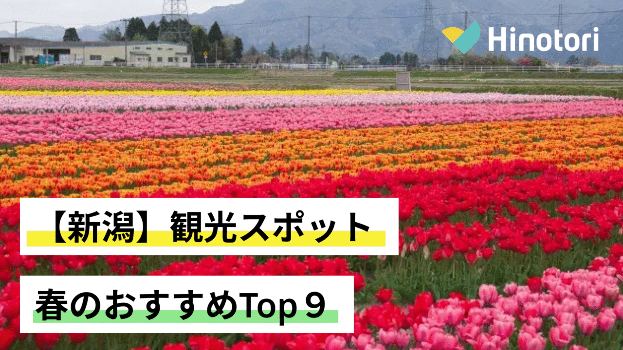 しゃぶ禅新潟店は閉店した？現在の営業状況と噂の真相を徹底追究