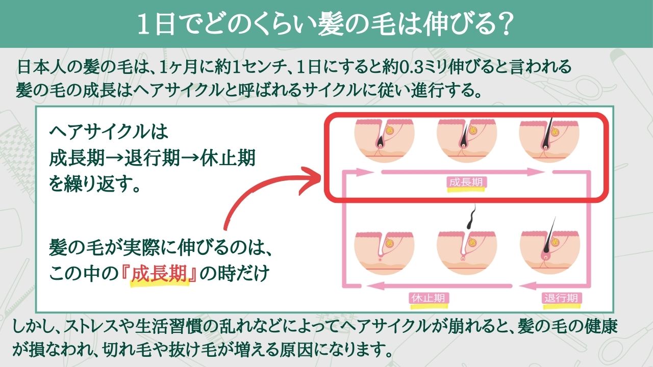 バナナの保存方法決定版！常温放置の罠と2週間持たせるプロの裏ワザ