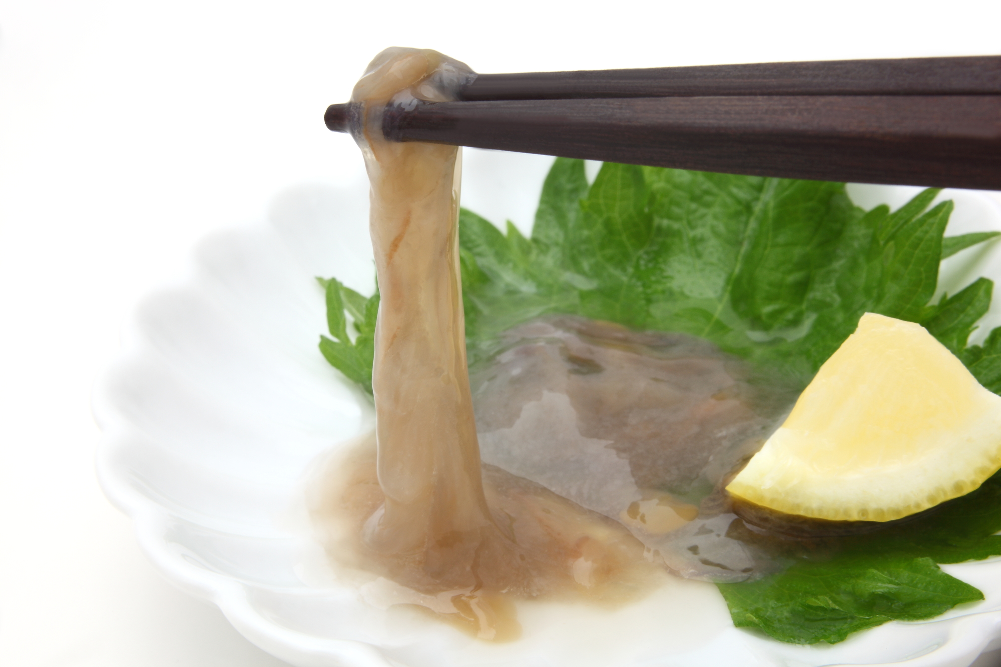 日本三大珍味「このわた」とは？正体と味の評判・美味しい食べ方まで徹底解説