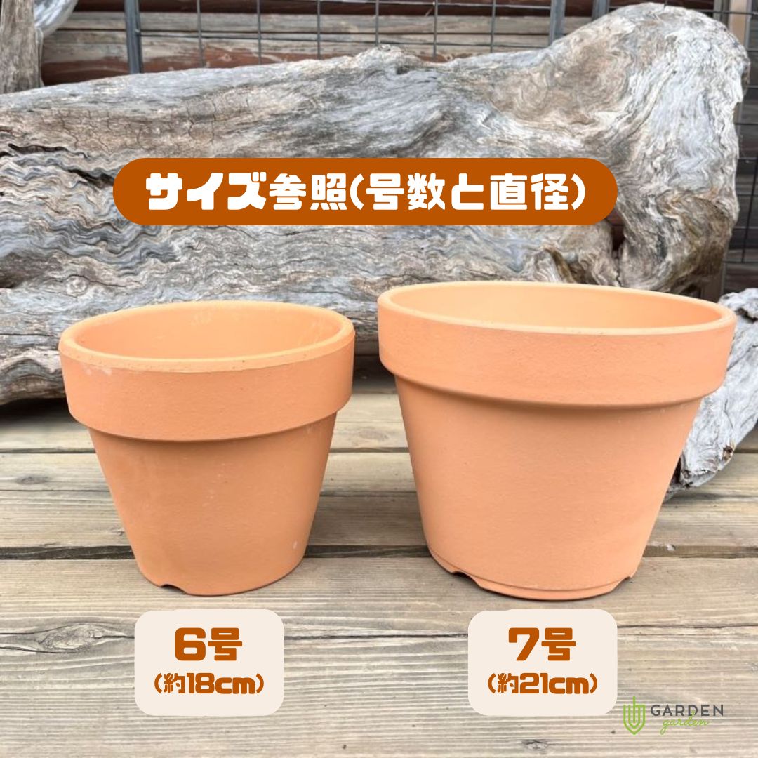 7号鉢のサイズは何Cm？直径21Cmの土の量や失敗しない植え替え術