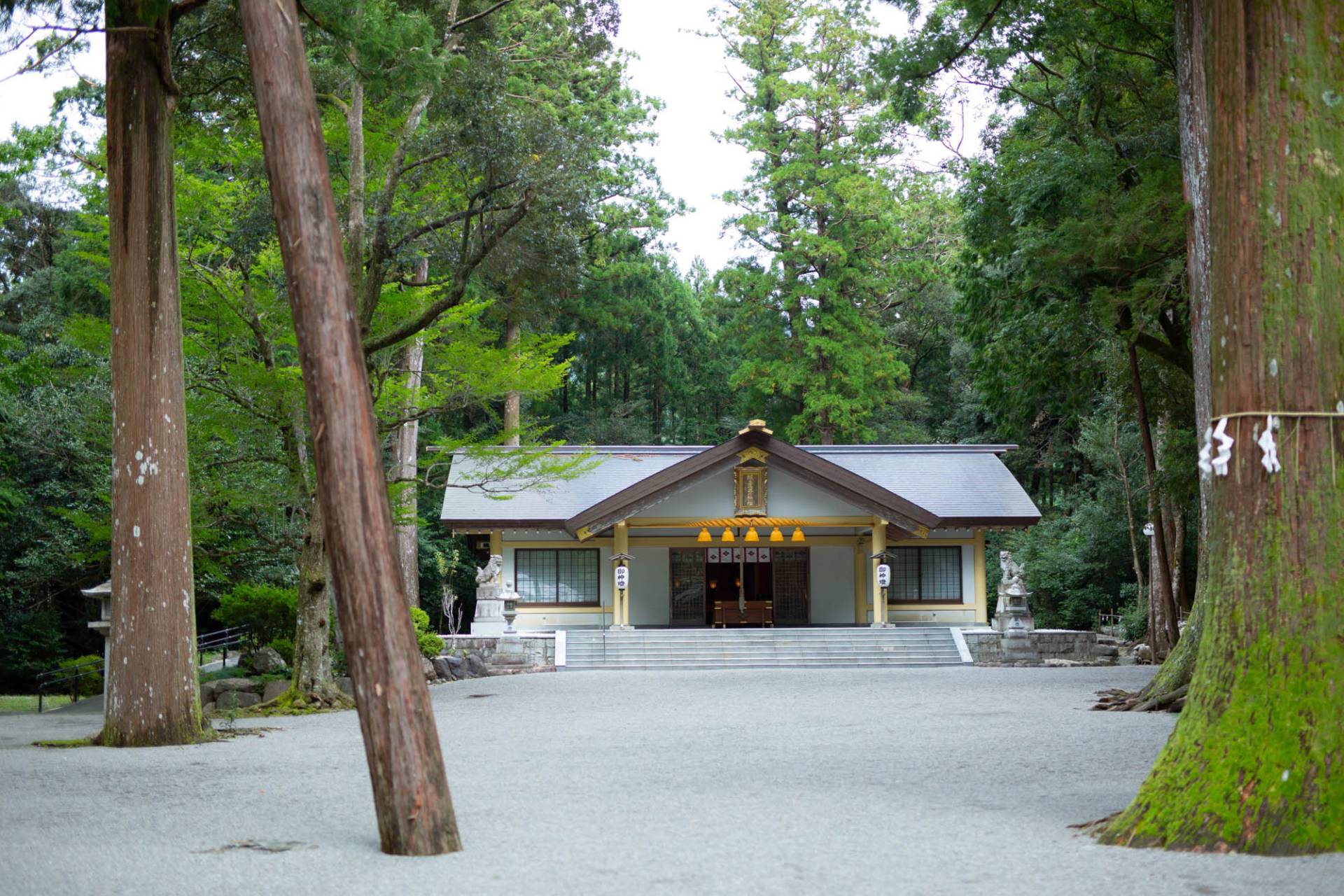 頭之宮四方神社のご利益と評判を徹底解剖！日本唯一の頭の守護神