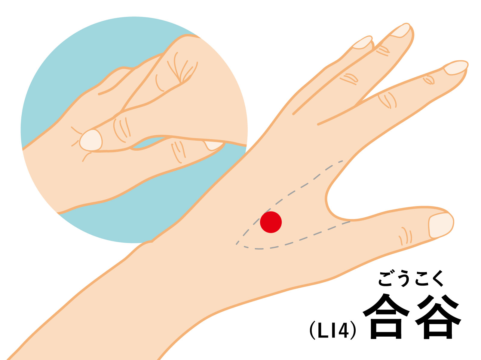 猛烈な睡魔を瞬時に撃退！即効で効く眠気覚ましツボ決定版【2026】