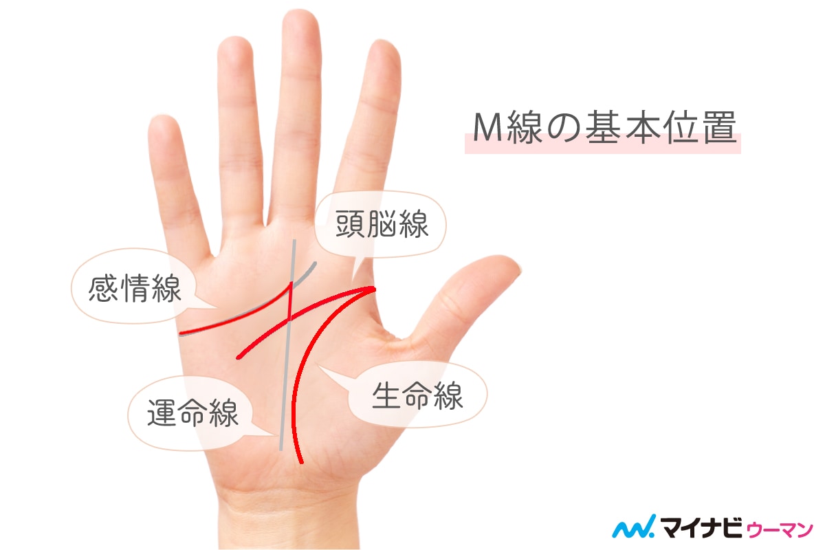 手相のM線は強運の証？右手左手の意味と確率の真相【2026年最新】