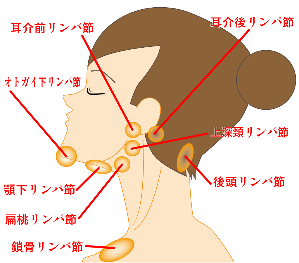 首の付け根のしこりは痛くないから放置Ok？原因と危険なサインを解説