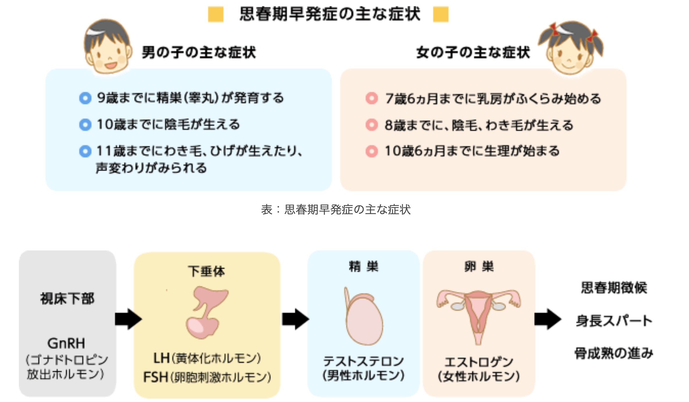 思春期早発症は手遅れ？最終身長と骨年齢のタイムリミット徹底検証