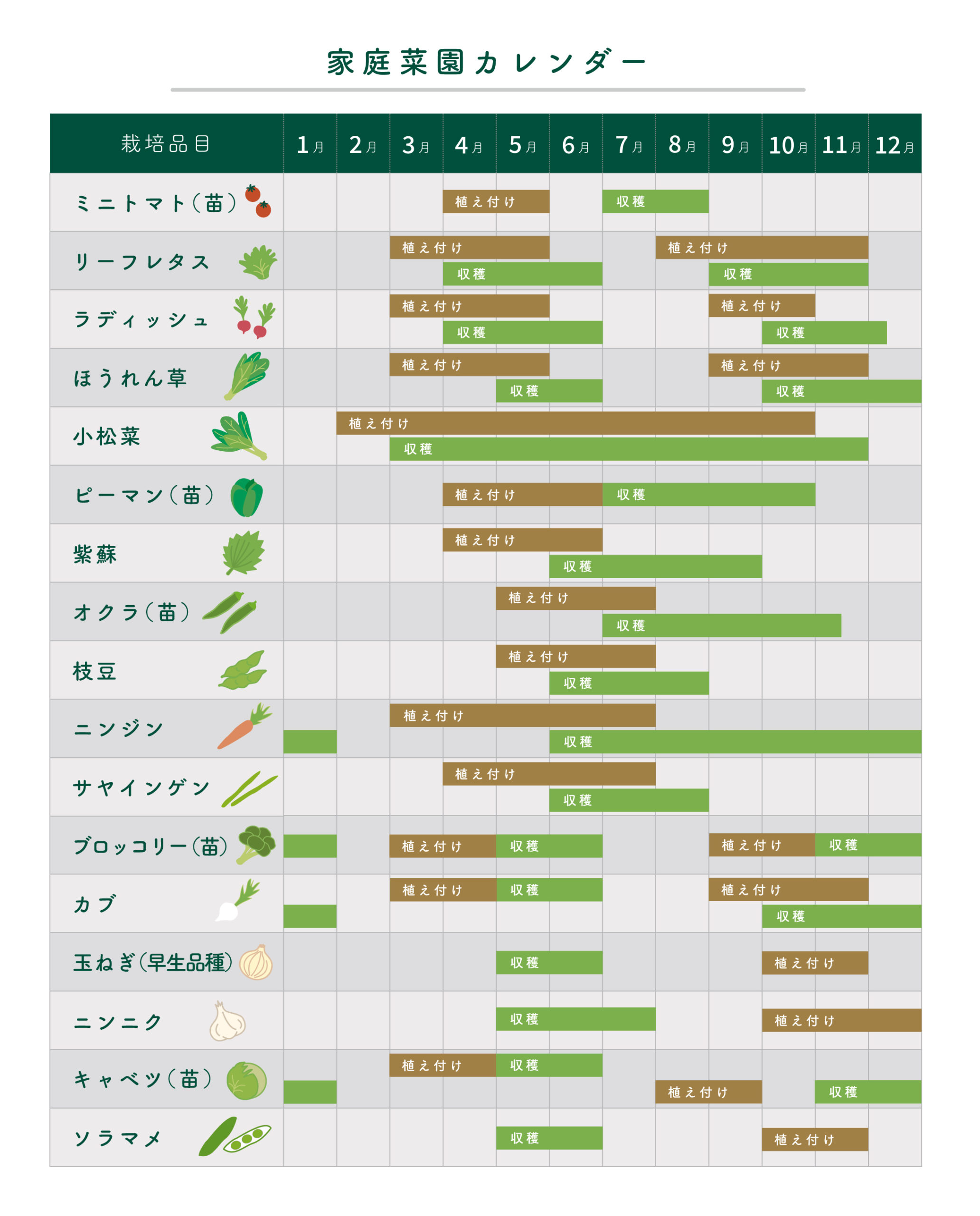 12月に植える野菜決定版！真冬から春に収穫する防寒栽培の極意
