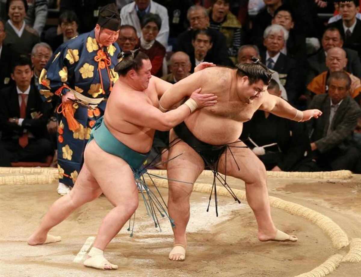 玉鷲と綾瀬はるかの熱愛疑惑の真相とは？鉄人を支えた共演と推し活