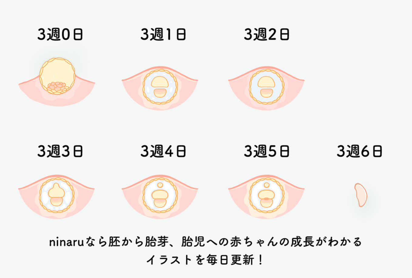 つわりでなんとなくずっと気持ち悪い？吐かない辛さの正体と対処法