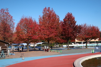 【徹底調査】 加須 は な さき 公園 最新画像・動画まとめ #744