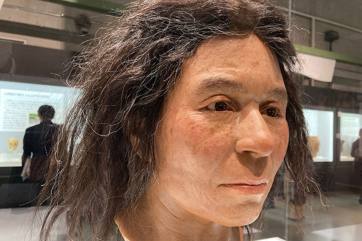 縄文人の顔特徴と弥生人との違いを解剖！Dna研究で判明した最新ルーツ