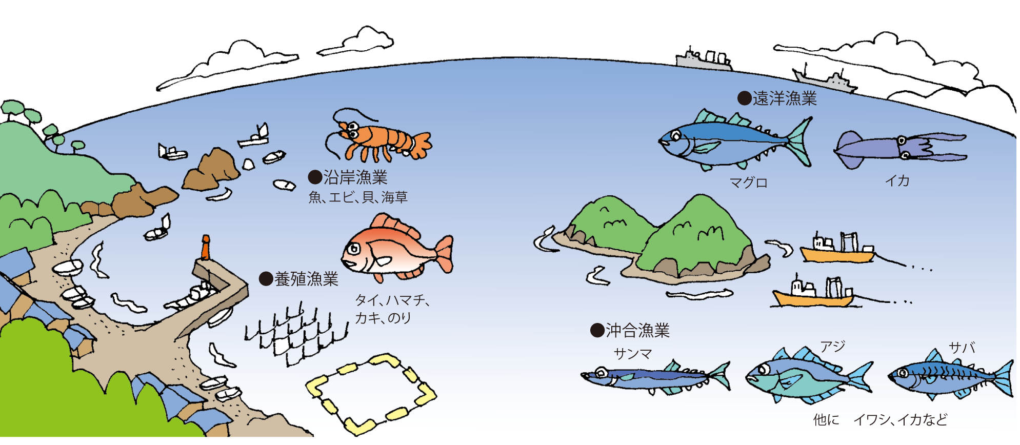 沖合漁業とは？沿岸・遠洋との違いと魚激減の真相【2026最新】