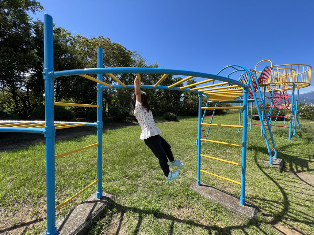 うんていがある公園徹底調査！子どもの脳を伸ばす効果と最新穴場名所