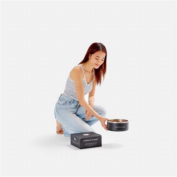 アンビエント ラウンジ ペット：ペットに響くリラックス音楽の秘密