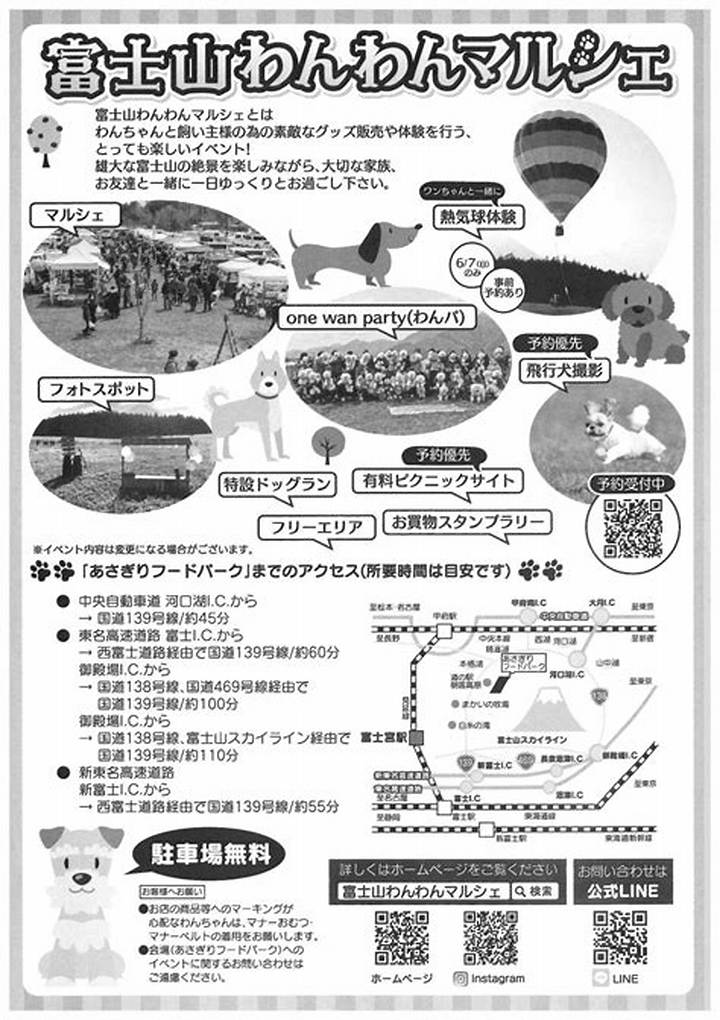 富士山麓の愛犬イベント「朝霧わんわんマルシェ」完全攻略！出店・混雑回避・マナーまで徹底レポート