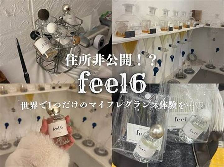 What Is Feel6? the Ultimate Guide to This Innovative Platform