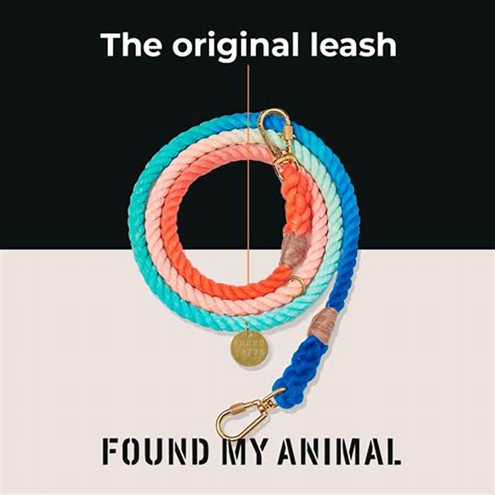 1本のロープが繋ぐ命とデザイン。「Found My Animal」がペット界に起こした静かな革命
