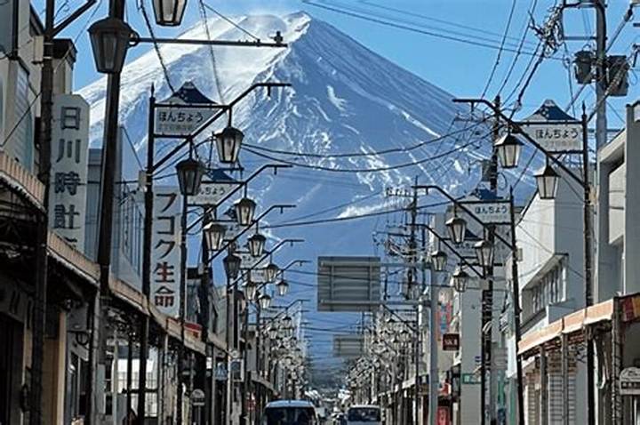 富士市のお土産おすすめ15選！絶品しらす・限定スイーツから名産茶まで網羅