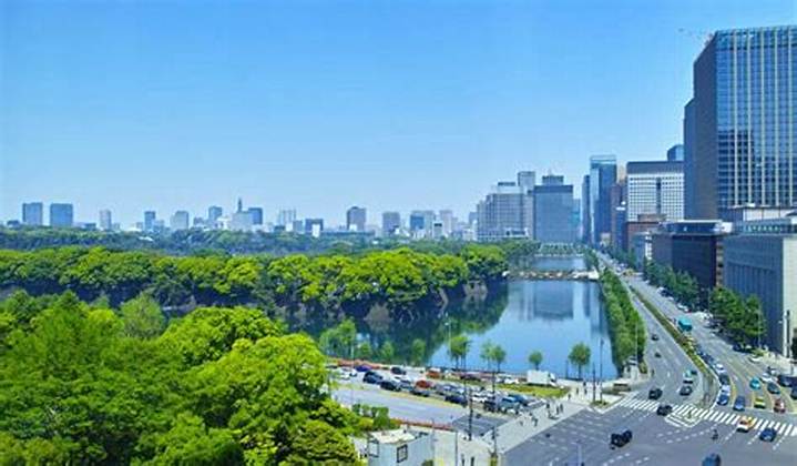 日比谷凛動画を安全に探すには：公式配信・確認ポイント・注意点