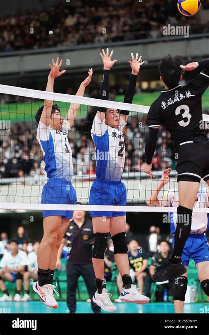 東福岡バレーボール部の強さの秘密とは？名門の歴史と「努力に勝る天才なし」の精神