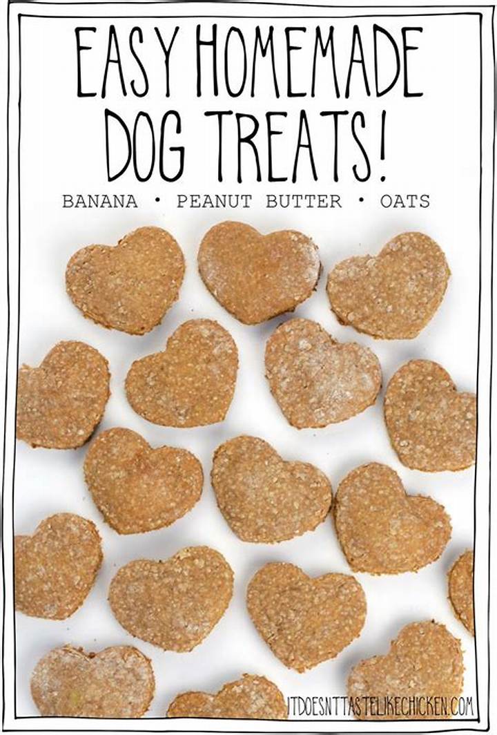 愛犬の健康を守る「手作り犬おやつレシピ」決定版！安全な食材と無添加で作る簡単ご褒美