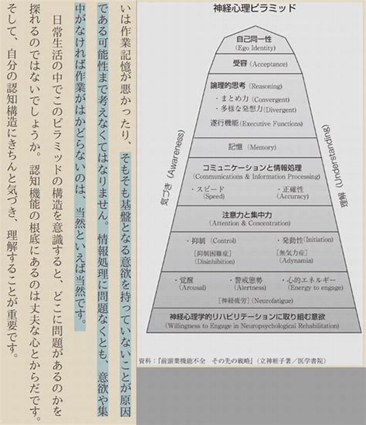 本田式認知特性テストとは？自分の認知タイプを知る方法