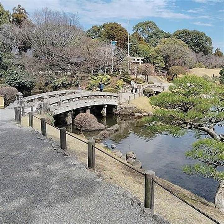 熊本の老舗「お茶の堀野園」が誇る深蒸し茶の真髄と半世紀の足跡