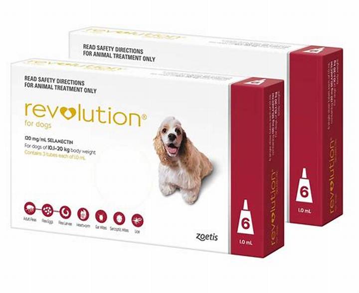アイラブドッグ: 日本の犬文化を変えた革新的ブランドの真実