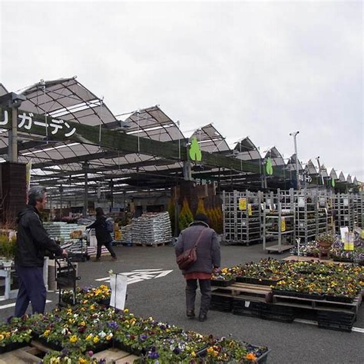 伊木山ガーデンのチラシでお得を完全網羅！最新セール情報と園芸・直売所の活用術