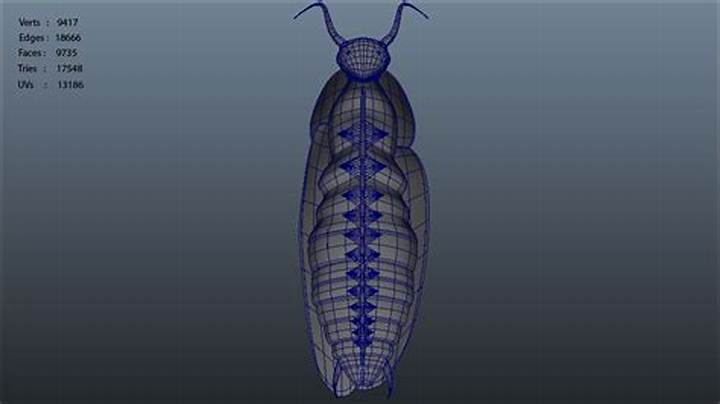 Insect Mmd: the Surprising World of Bug-Inspired 3D Animation