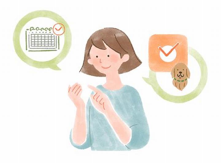 石川県ドッグラン完全攻略：雨でも安心の室内施設から広大な無料スポットまで徹底解説