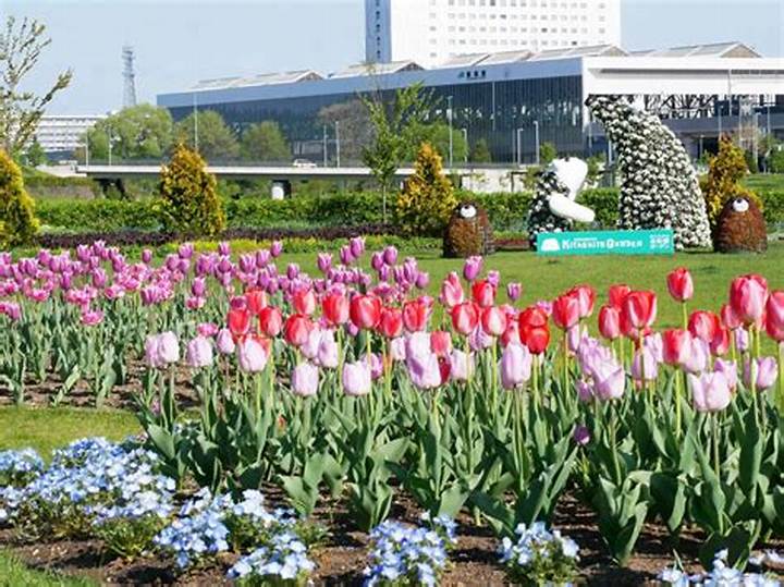 旭川の造園会社「いずみガーデン」が半世紀守り続ける庭づくりの哲学