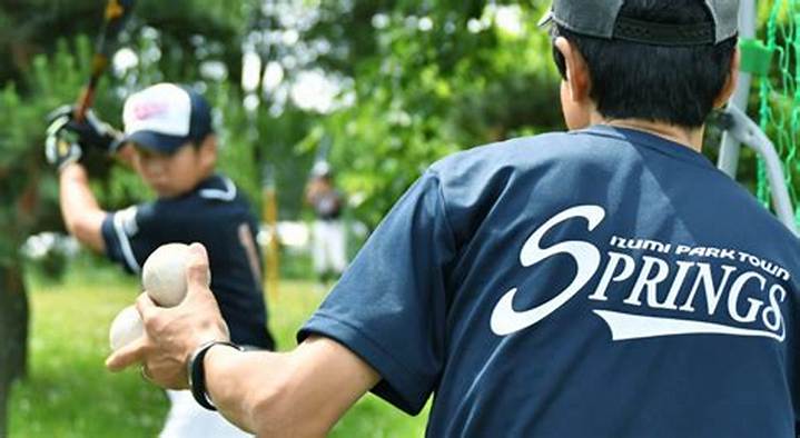 泉パークタウンスプリングス: 仙台発・地域と共に歩む少年野球の真実