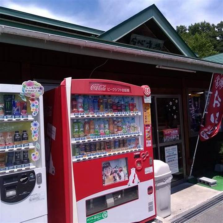 加護坊温泉「さくらの湯」とは？泉質・特徴・楽しみ方をガイド