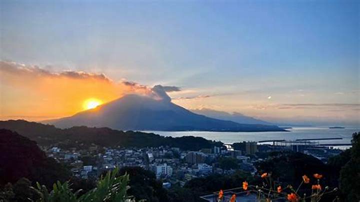 鹿児島市電貸切で特別なプライベート体験を！予約方法と魅力