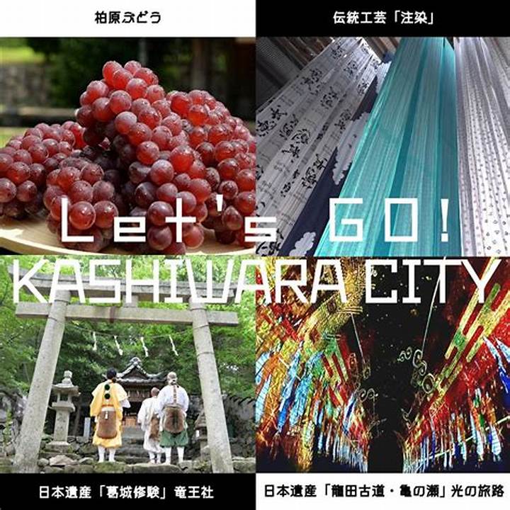 柏原市Sscの全貌と地域変革：スポーツが創る多世代共生社会の真実