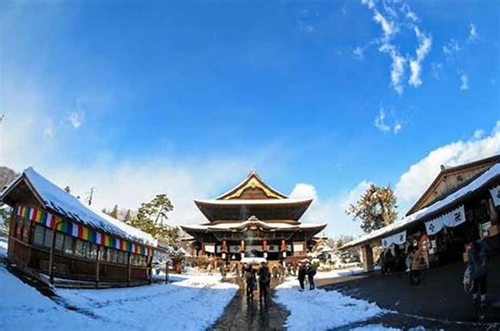 キンダー善光サッカークラブの実像｜青山からプロを育む育成力と地域密着の真価