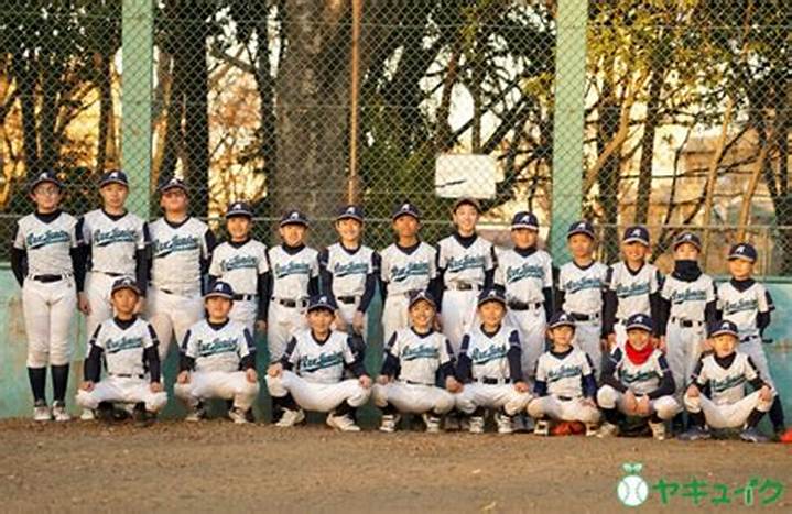 北園キングホークスの真実：練馬区の少年野球チームが誇る育成哲学と地域に根ざした軌跡