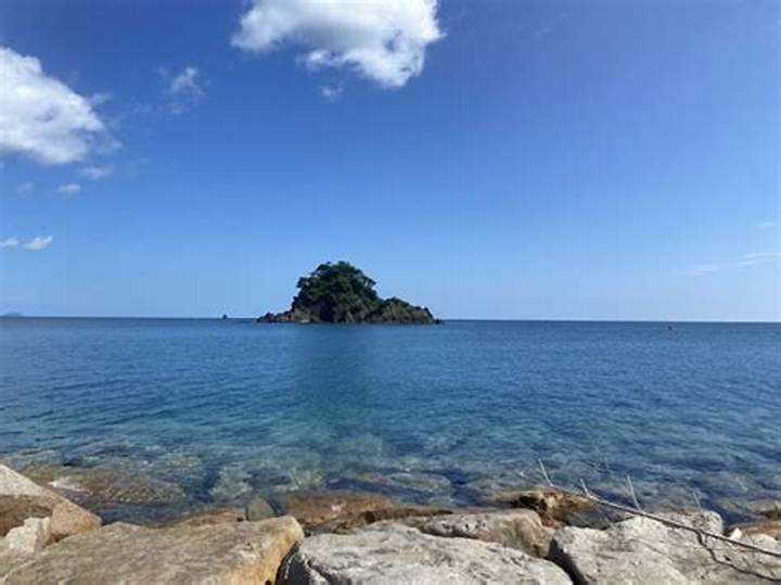 難波江海水浴場ライブカメラ活用術｜リアルタイム波情報と混雑状況を見極める完全ガイド
