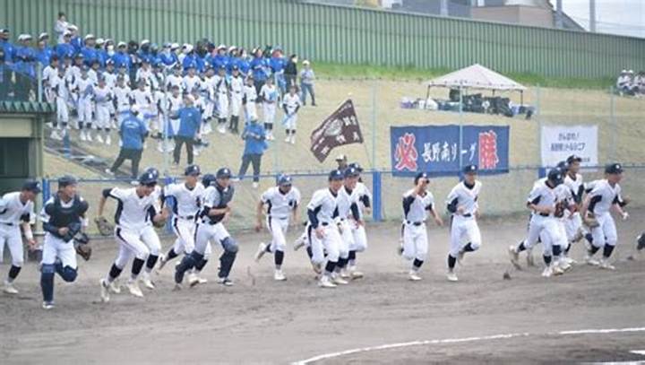 長野 南 シニア シニアセンターの隠れた魅力と活用術