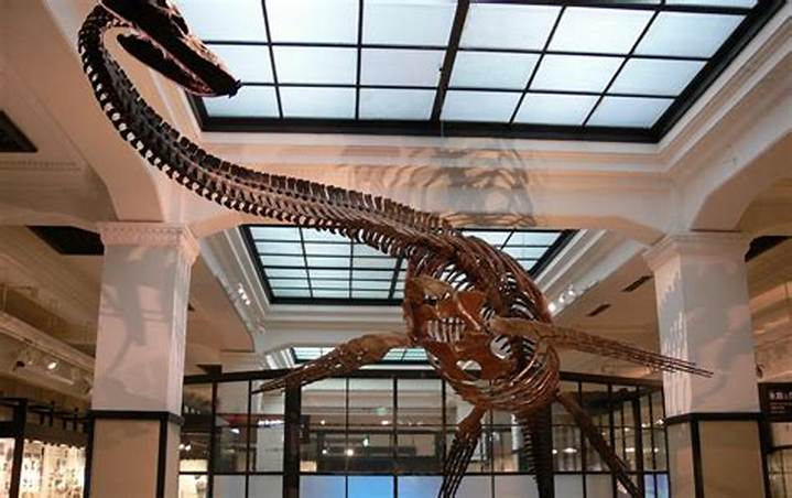 国立科学博物館のガチャガチャが大人気! 種類・場所・楽しみ方を徹底解説