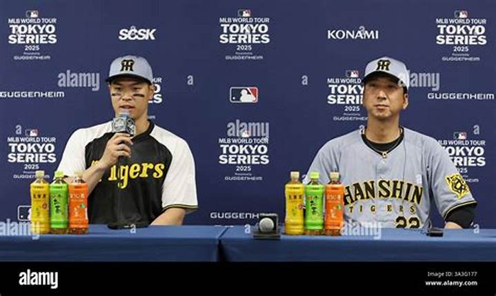 西千タイガースの強さと躍進の真相｜文京区の学童野球を牽引する育成哲学と全貌