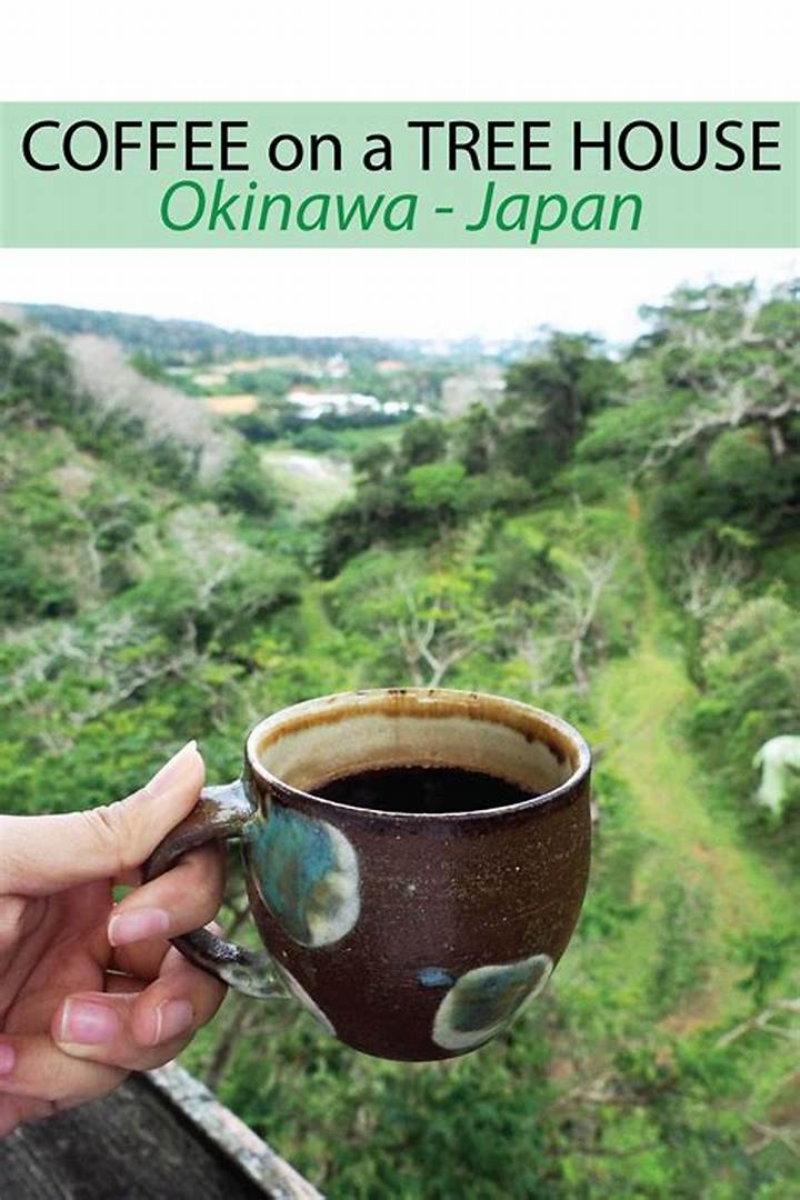 沖縄で長居できるカフェ完全ガイド: 地元民が教える隠れた名店