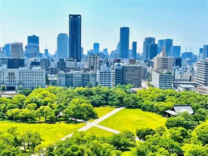 大阪城公園の野鳥：意外な生態と観察の楽しみ