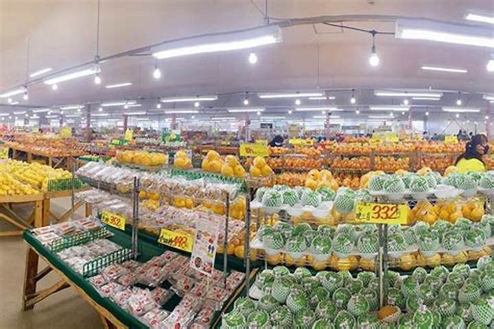 大阪の大型園芸店おすすめ5選！プロが選ぶ圧倒的品揃えと隠れた名店を徹底解説