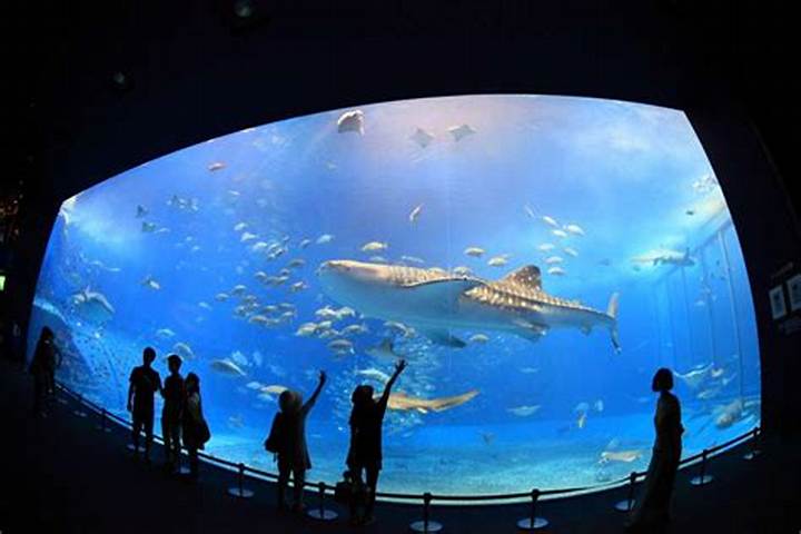 愛犬と海の世界へ！ペット可水族館の最新ルールと全国厳選スポット完全ガイド