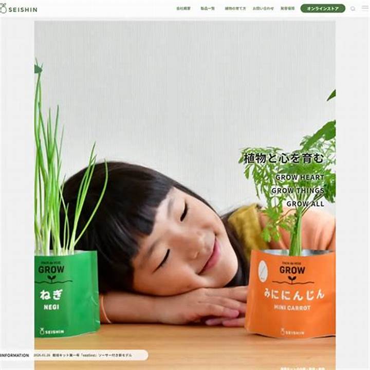 聖心と陶芸が交差する美学｜静寂の土から生まれる造形美と精神性の真実