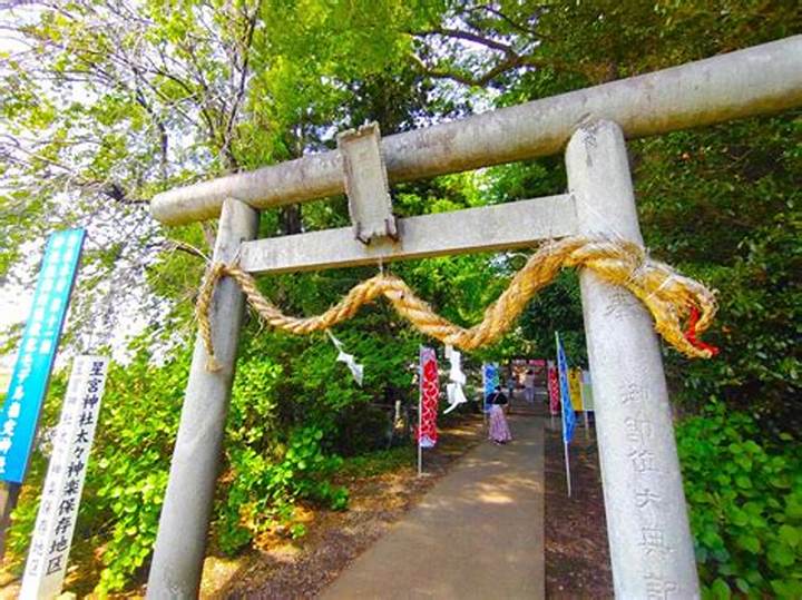 下野 星の宮神社完全ガイド｜1200年の星信仰とトトロ案山子が紡ぐ奇跡のご利益と魅力を徹底解説