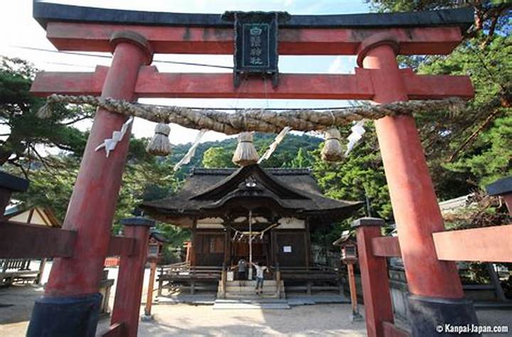 宮崎・白髭神社の謎と奇跡｜深山に眠る猿田彦の導きと秘伝神楽の真実