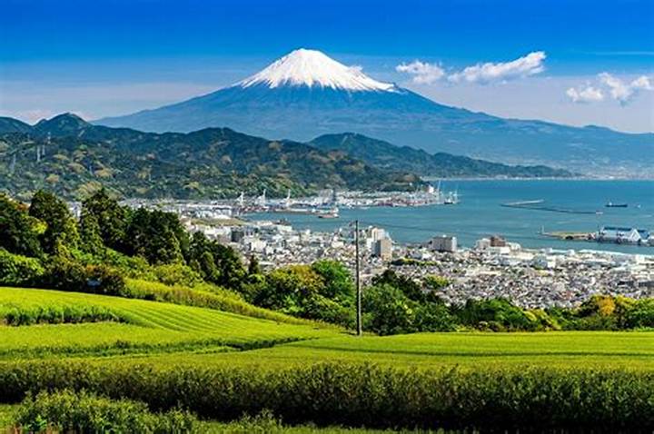 静岡 ハッテンを調べる前に知りたい安全・法律・出会い方