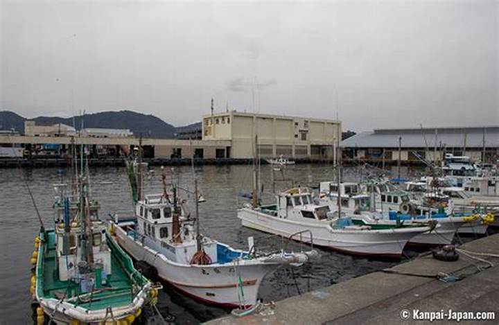 多比港釣りの真実｜激旨の青物と巨大アオリイカを追う駿河湾の特級ポイントと最新規制